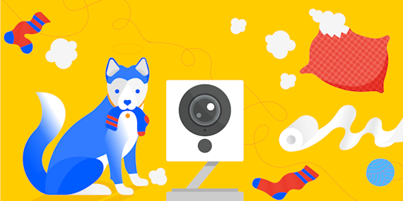 Connected home monitoring with Wyze