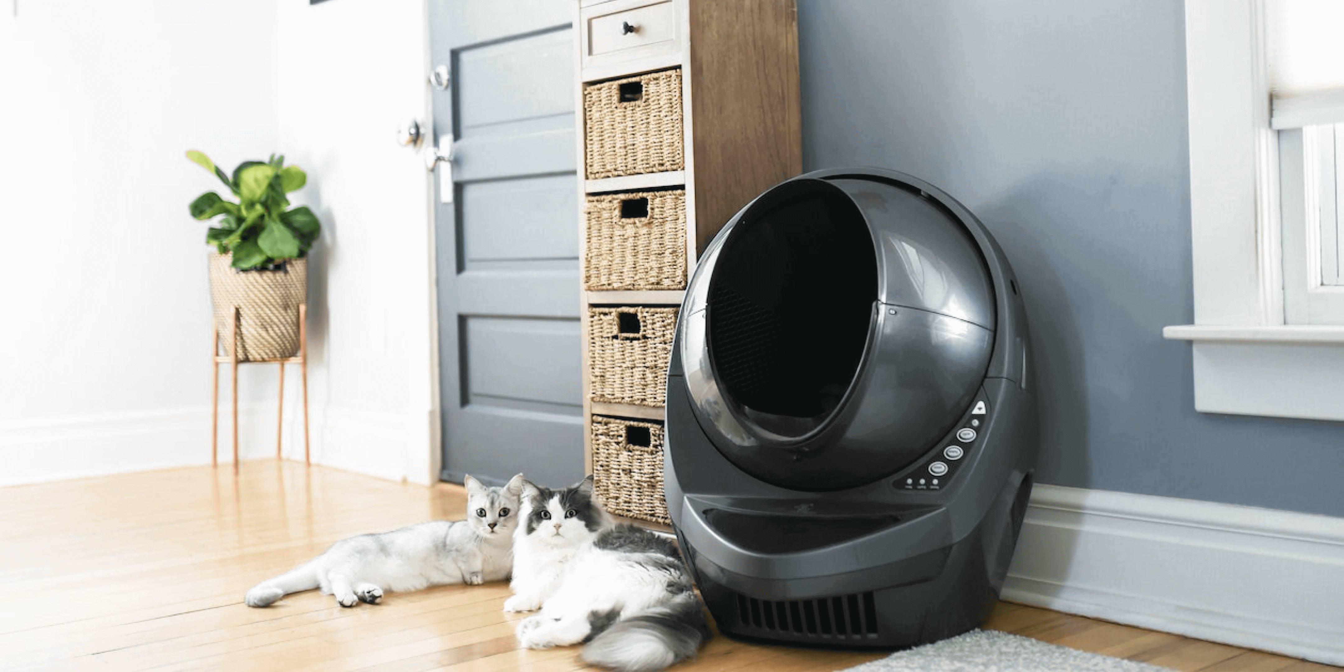 irobot cat litter