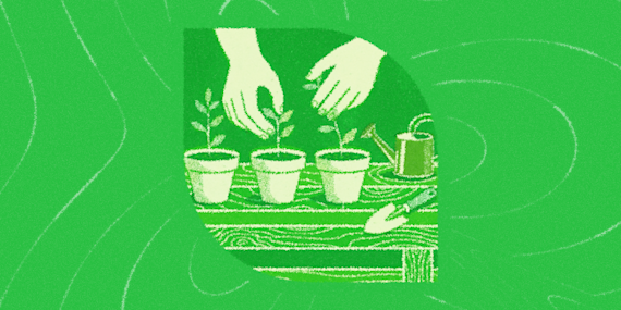 Automate your garden and lawn care