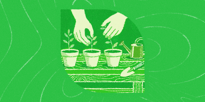 Automate your garden and lawn care