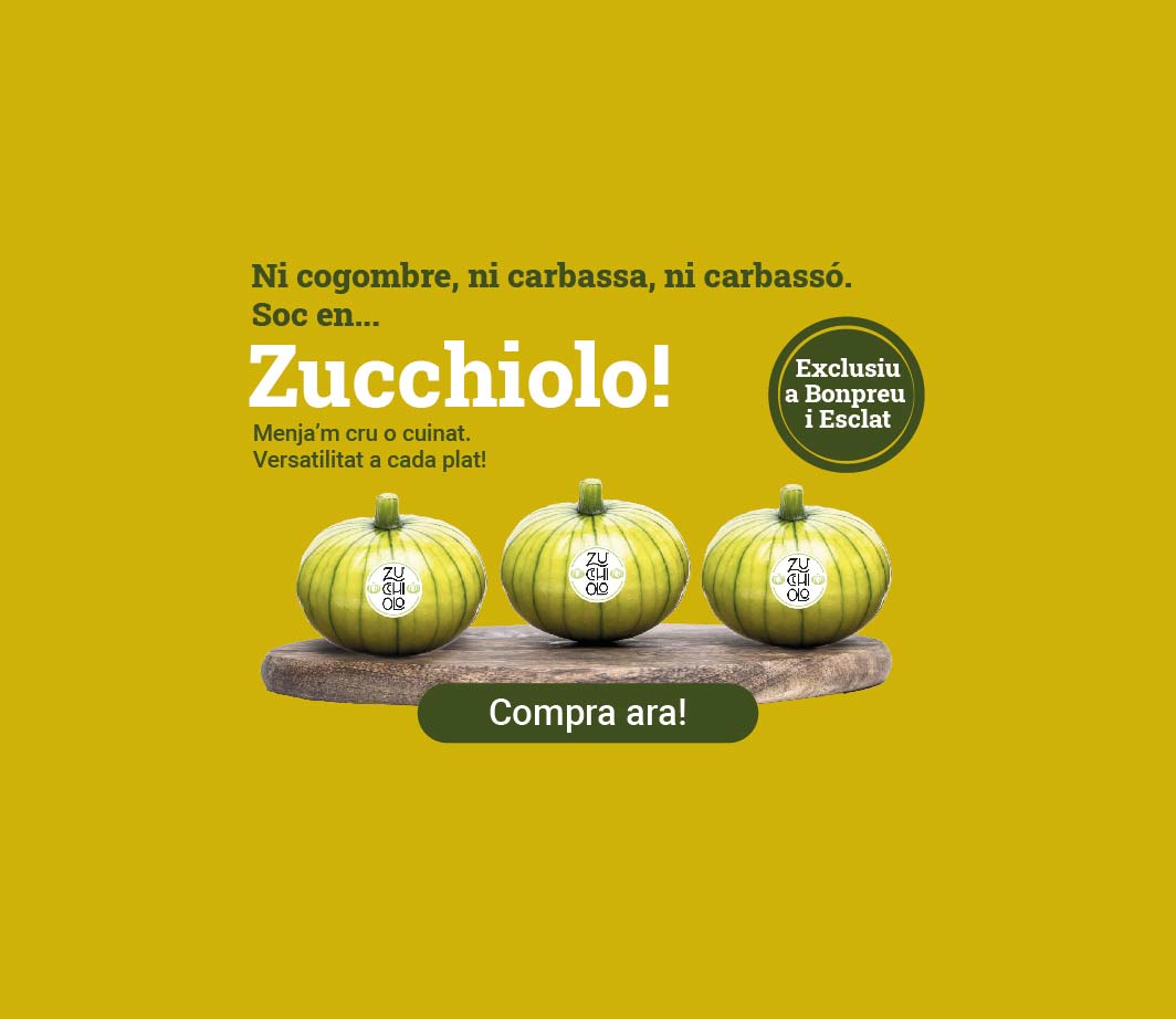 Fes clic aquí per comprar Zucchiolo -3-