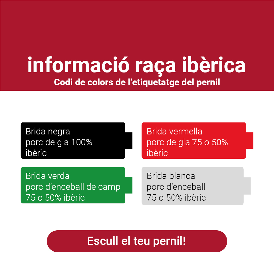 Informació raça ibèrica, codis de colors en l'etiquetatge del pernil. T'ensenyem a escollir el teu pernil, només has de fer clic aquí!