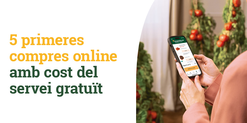 5 primeres compres online amb cost del servei gratuït