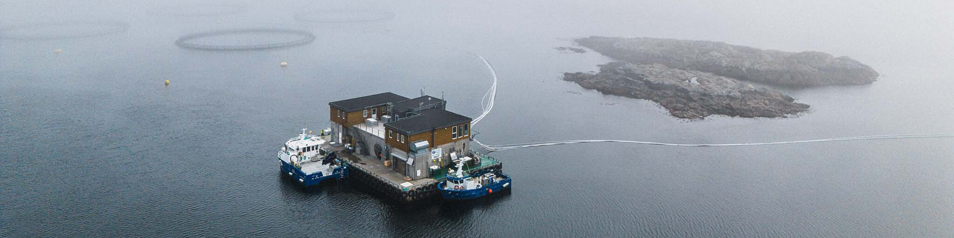 Saber'ne més sobre Frøya