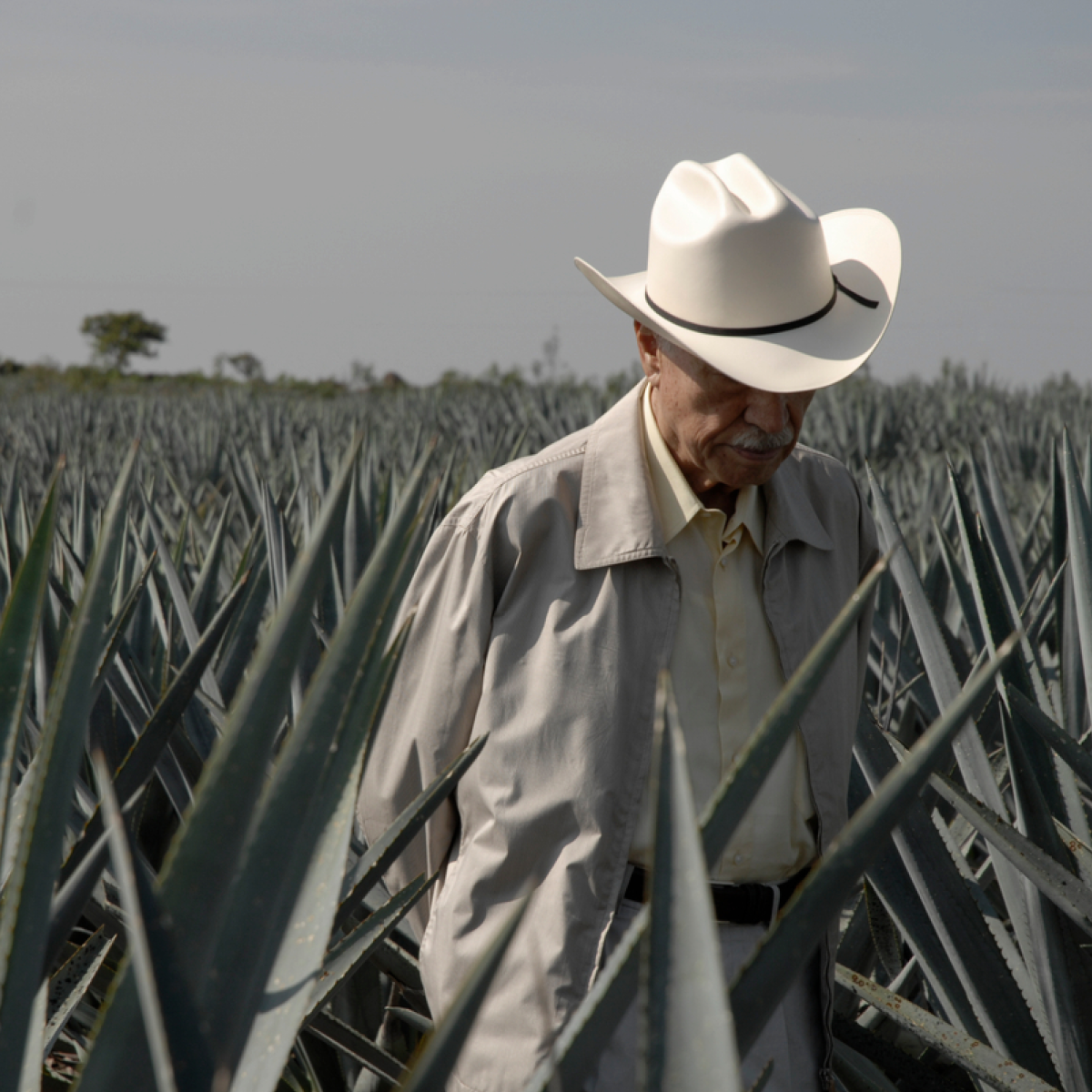 Don Julio González