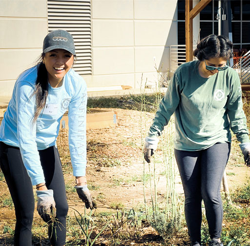 AffiniPay's volunteer event at the Central Texas Food Bank's garden center