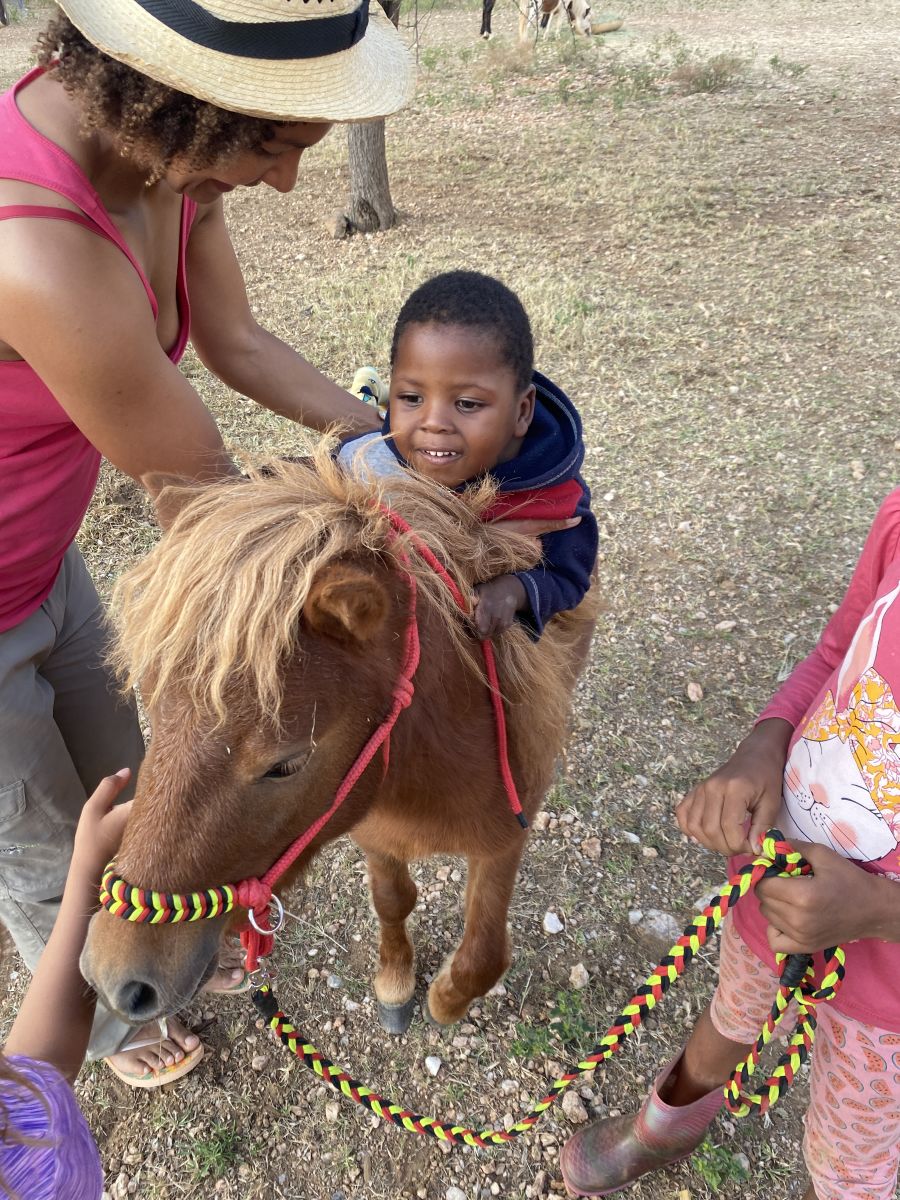 Mervin und die Mini Ponys