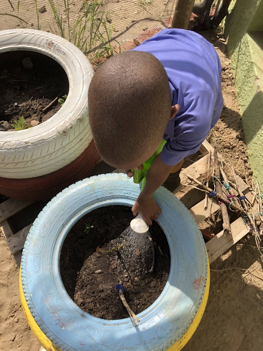 Boy watering plans