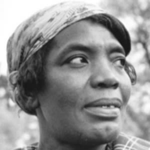 alt text placeholder