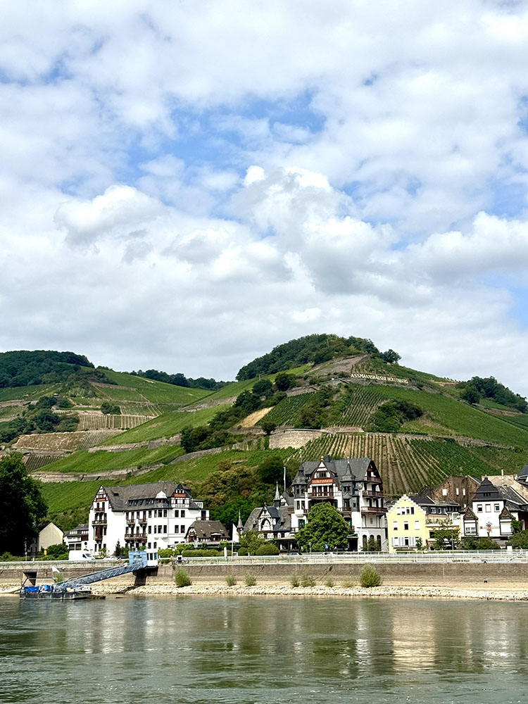 Rüdesheim ved Rhinen