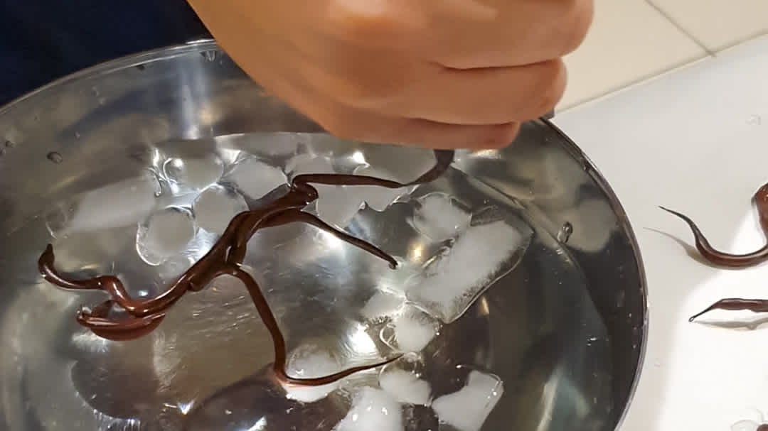 Making of Tempered Chocolate Branches