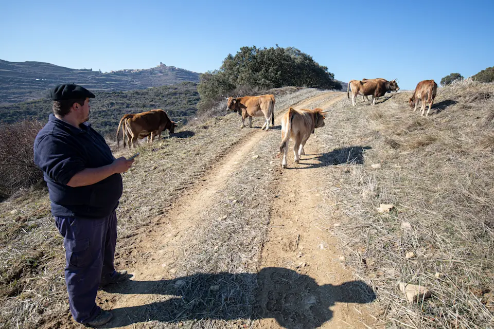 ES user story: Pedro 3