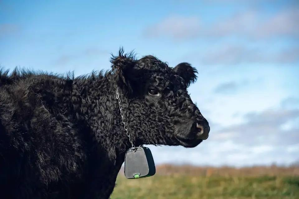 Revitalizing marginal land for sustainable farming - image-2.jpg