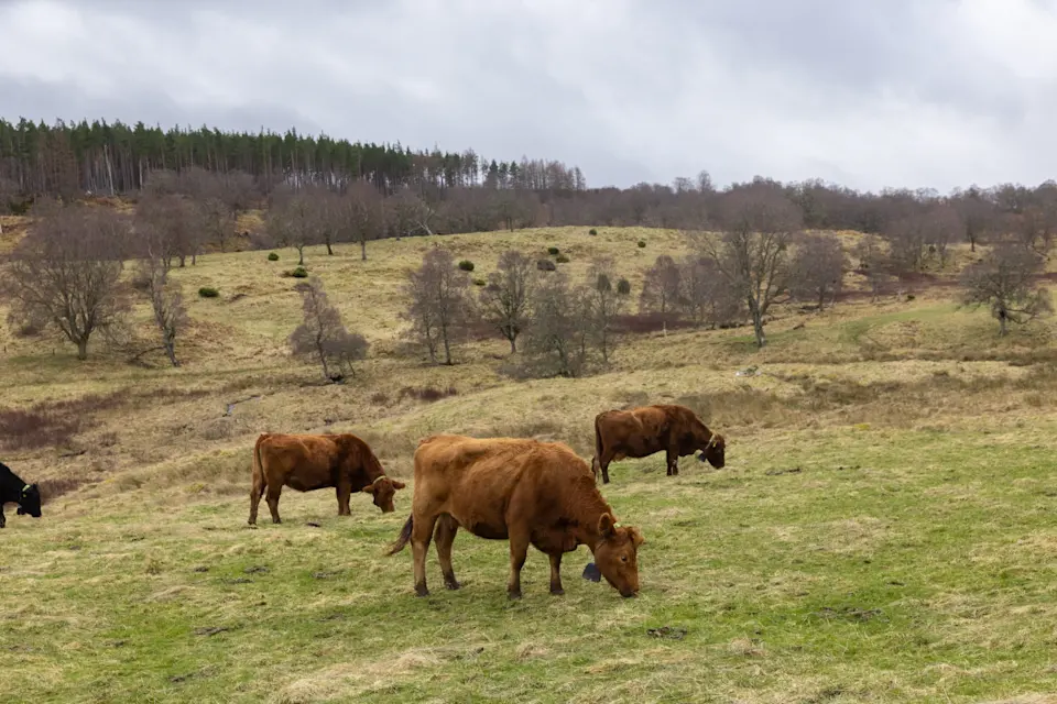 NofenceUK2025-DAVID-0381-EDITED