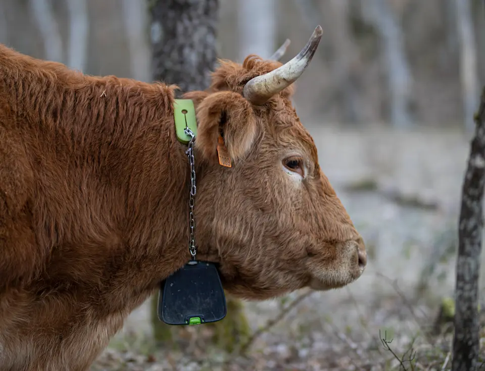 ES user story: Esther y Valentín 2