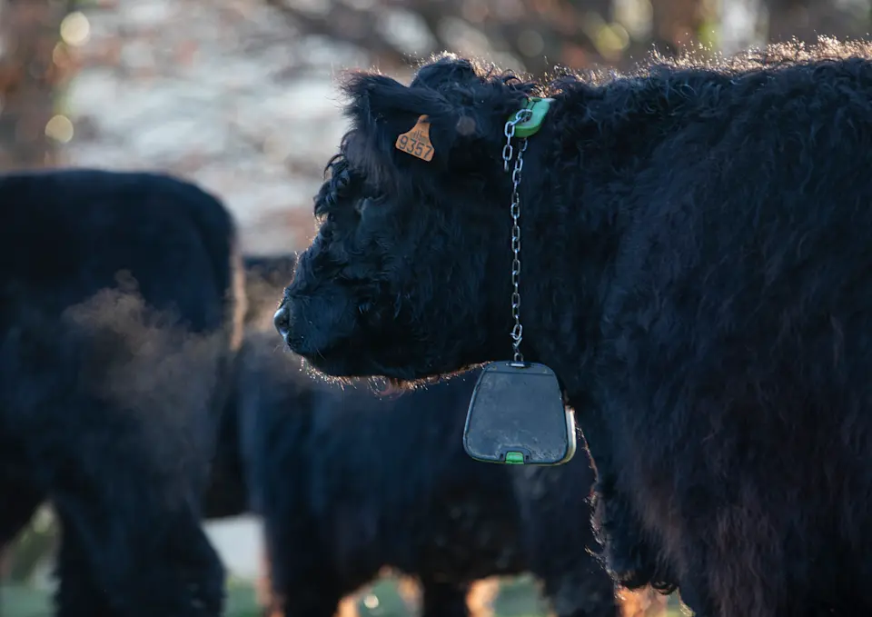 ES user story Denis Lopez 3