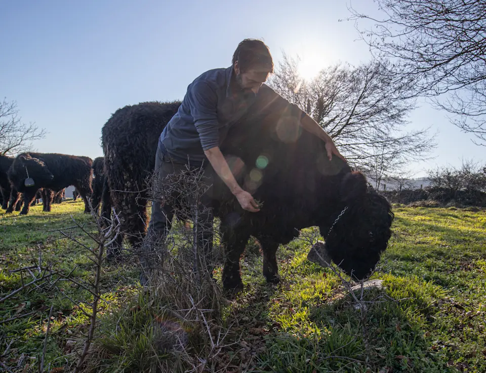 ES user story Denis Lopez 2