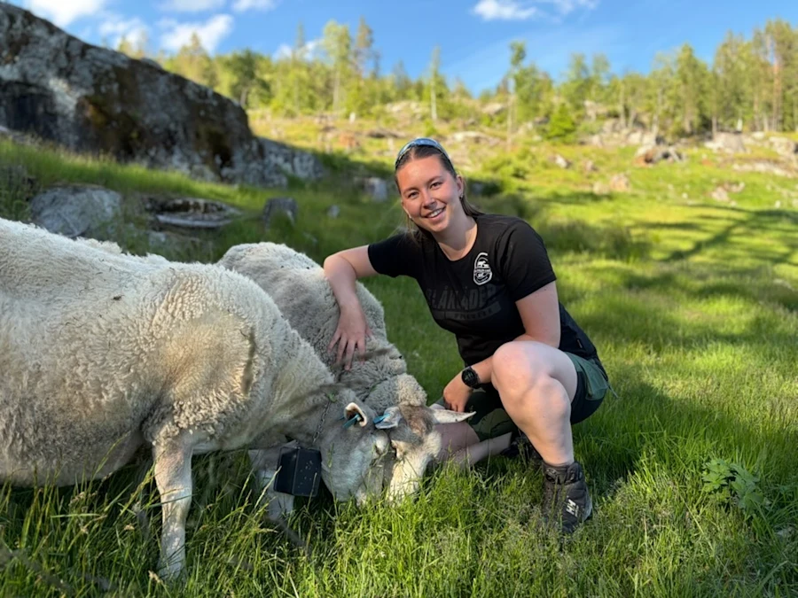 Ambjørg Skibdalen