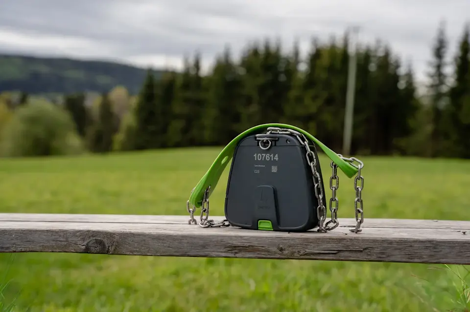 Cattle collar 2 Gjerdrum