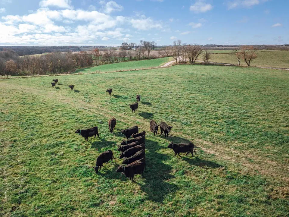 Revitalizing marginal land for sustainable farming - image-4.jpg (de-linked)