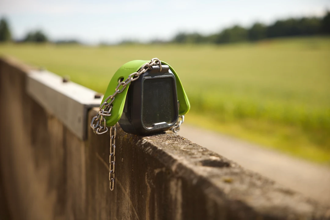 N3 collar on bench