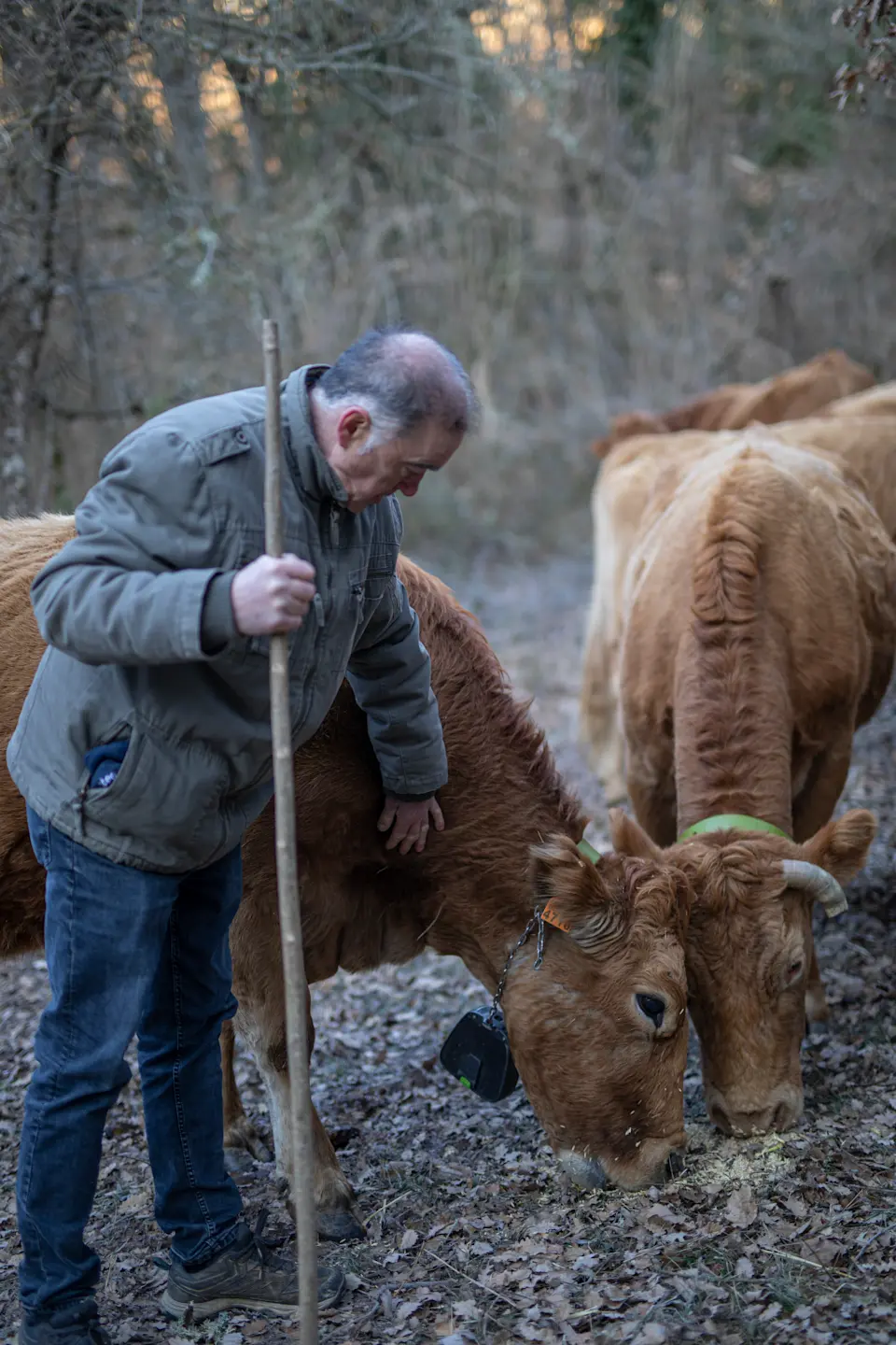 ES user story: Esther y Valentín 4