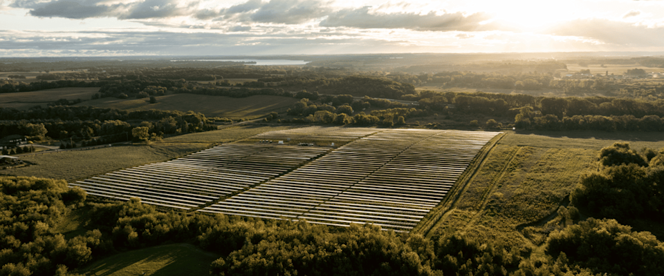Under the Solar Panels, Pasture Management Finds New Ground - image-1.png