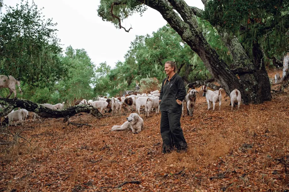 Turning environmental changes into opportunities - image-2.jpg