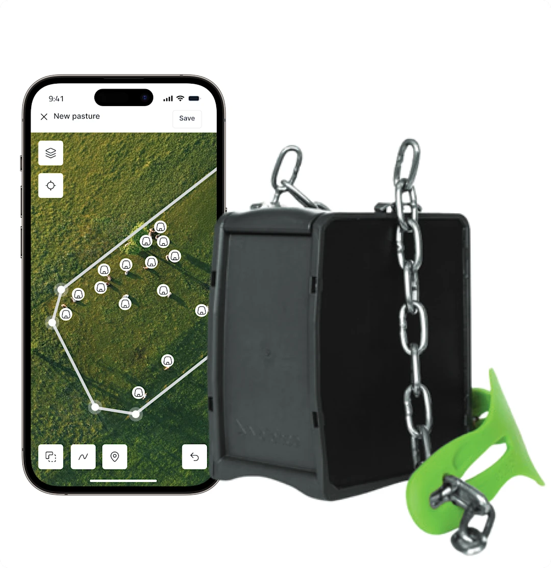 Collar and app - SG