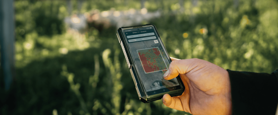 Under the Solar Panels, Pasture Management Finds New Ground - image-5.png