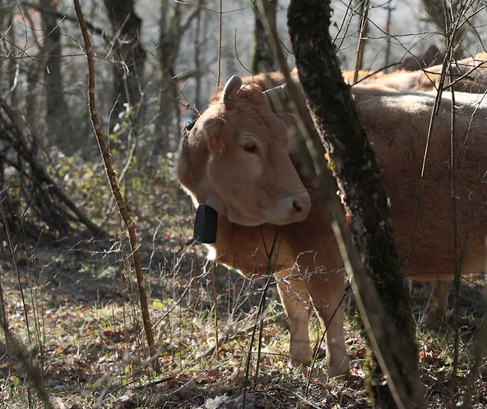 ES user story: Esther y Valentín 3