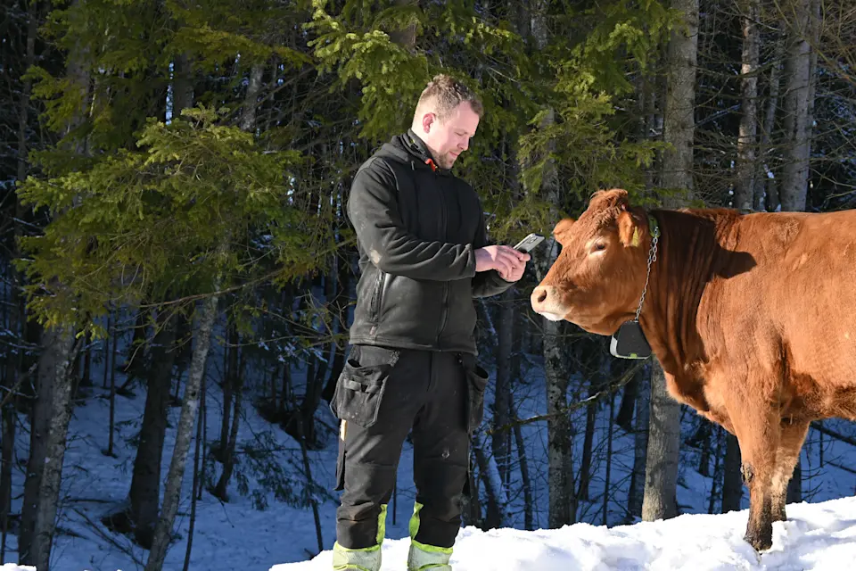 nittedal kristian mobil