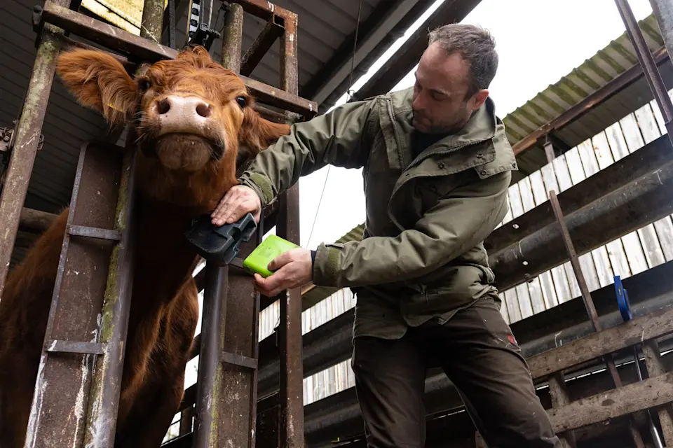 NofenceUK2025-DAVID-0723-EDITED