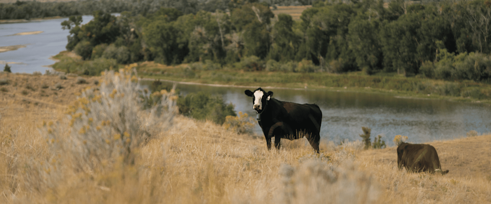 Tradition Meets Technology in Mountain Country - image-2.png