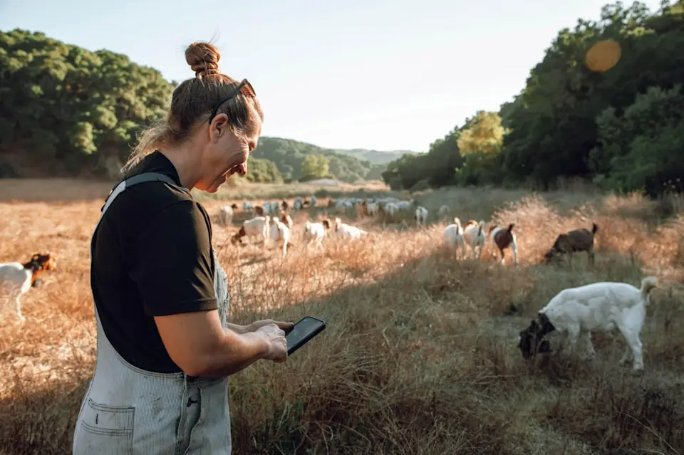 Turning environmental changes into opportunities - image-4.jpg