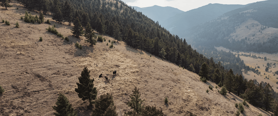 Tradition Meets Technology in Mountain Country - image-1.png