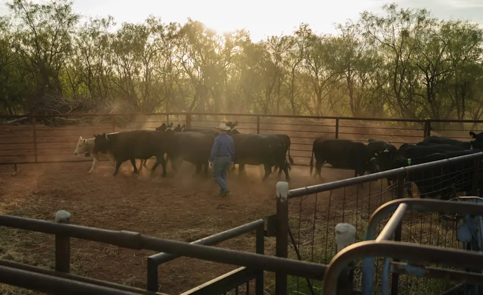 Bob Spikes Headshot 10