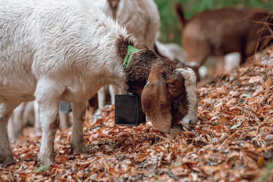 Turning environmental changes into opportunities - image-3.jpg