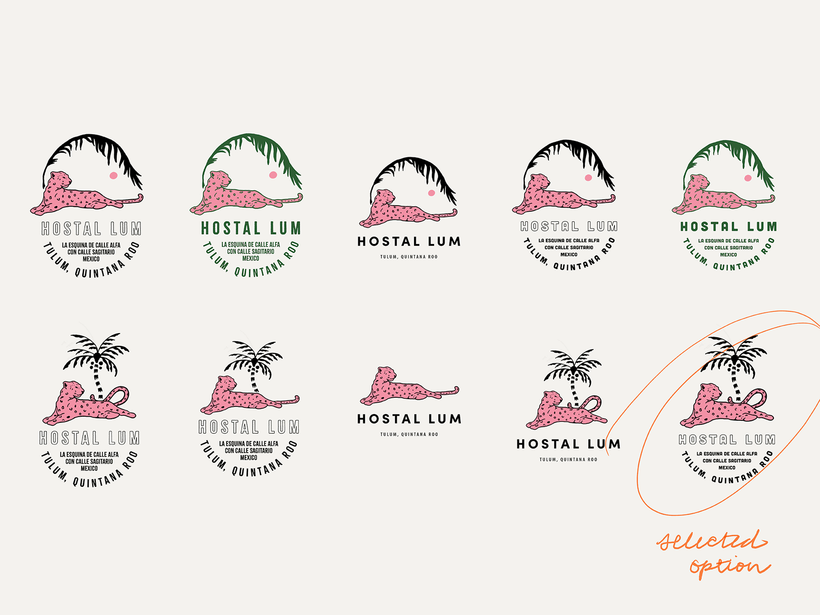 undefined undefined : Working off a couple variations of the same jaguar motif, I put together 10 concepts to compare. Concept 10 was our winner.