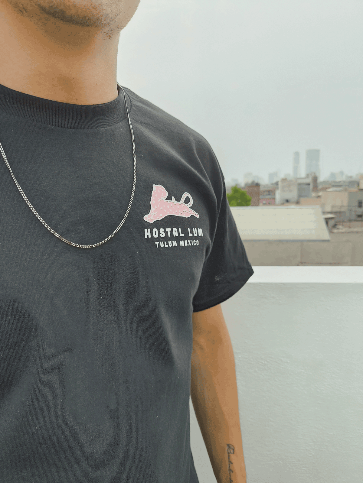 undefined undefined : And inverting the black in the graphic but keeping the pink of the jaguar, I altered the graphic slightly to accommodate printing on black t-shirts.