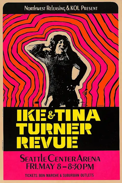Vintažinis Tina Turner koncerto plakatas – vintažinis koncerto plakatas | Framein
