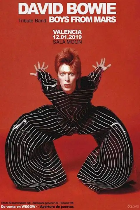 Vintažinis David Bowie koncerto plakatas – vintažinis koncerto plakatas | Framein