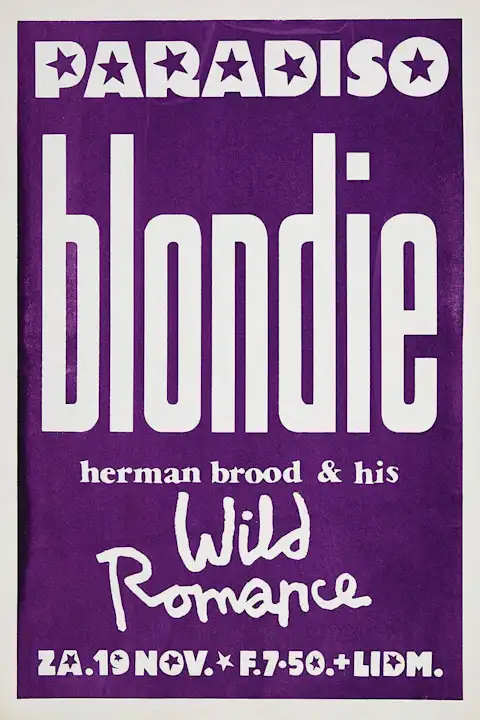 Vintažinis Blondie (2) koncerto plakatas – vintažinis koncerto plakatas | Framein
