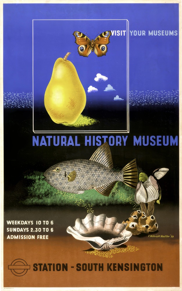 Vintažinis kelionių plakatas Natural History Museum London 1939 – vintažinis kelionių plakatas | Framein