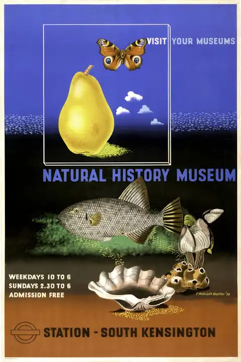 Vintažinis kelionių plakatas Natural History Museum London 1939 – vintažinis kelionių plakatas | Framein