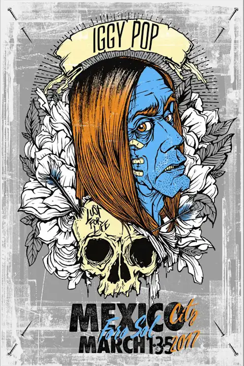 Vintažinis Iggy Pop koncerto plakatas – vintažinis koncerto plakatas | Framein