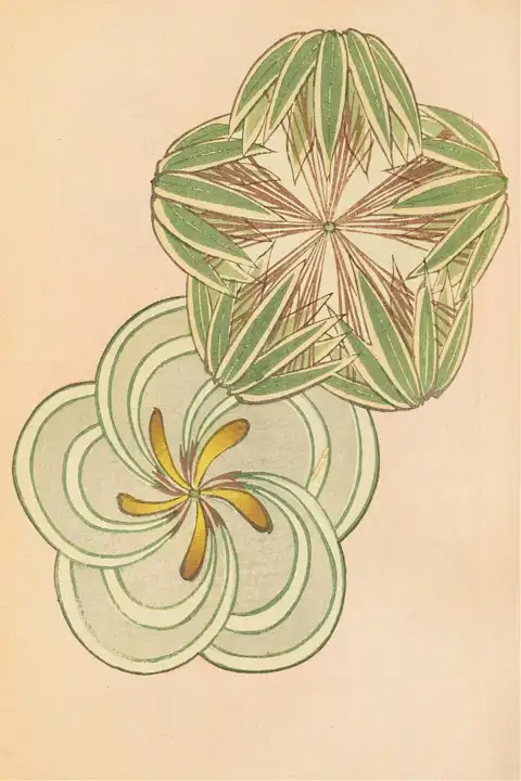 Japoniškas menas Korin Furuya Bijutsukai Pl.110 (1901) – japoniško meno plakatas | Framein