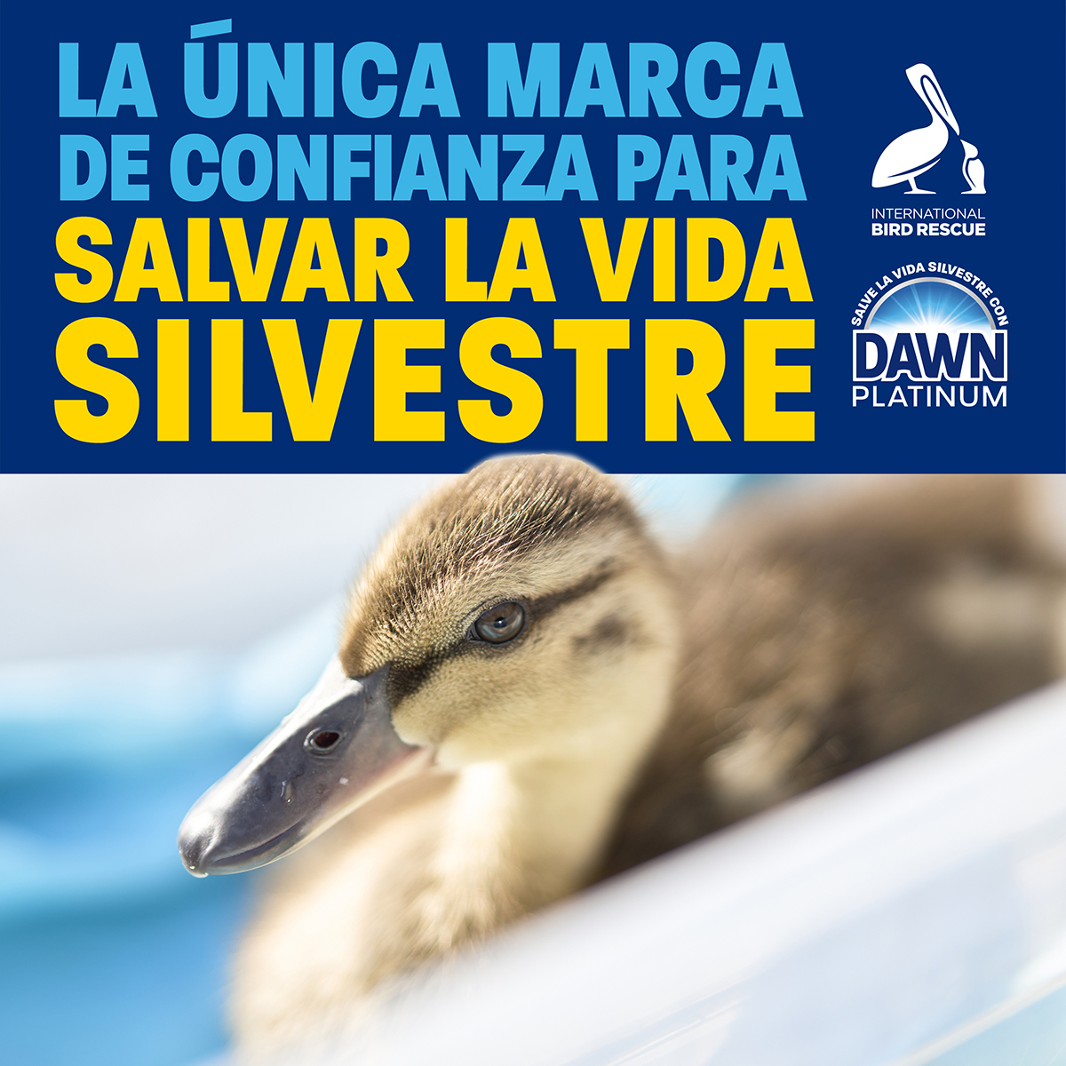 LA ÚNICA MARCA DE CONFIANZA PARA SALVAR LA VIDA SILVESTRE