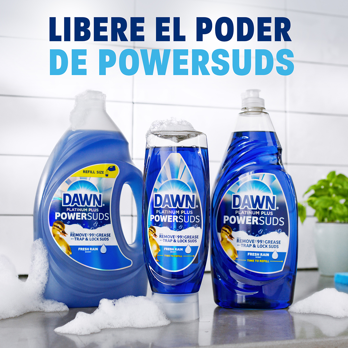 LIBERE EL PODER DE POWERSUDS