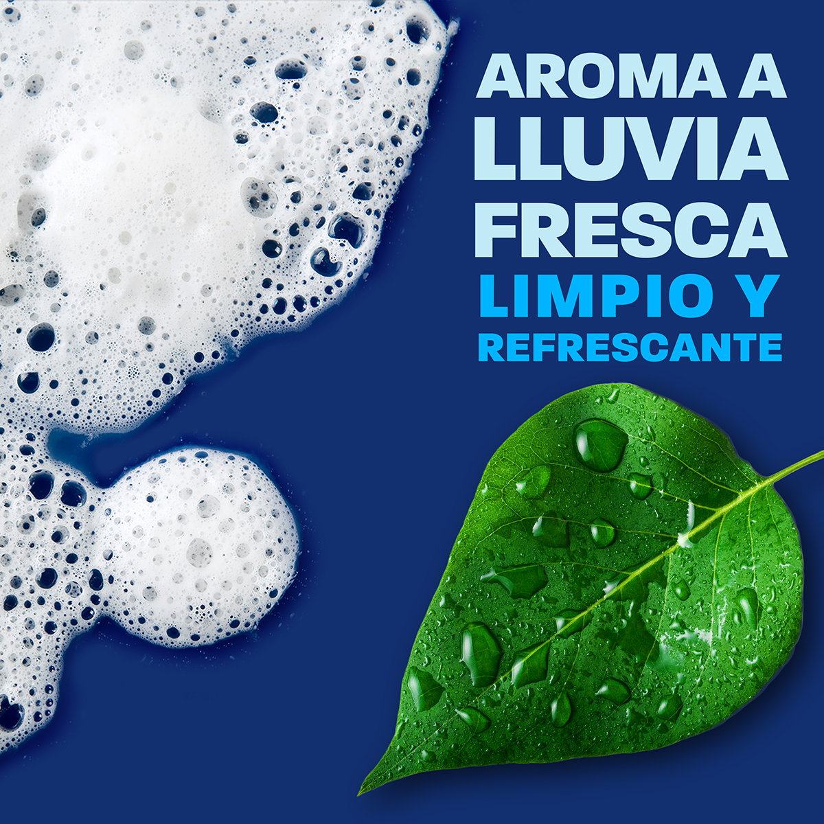 AROMA A  LLUVIA FRESCA LIMPIO Y REFRESCANTE